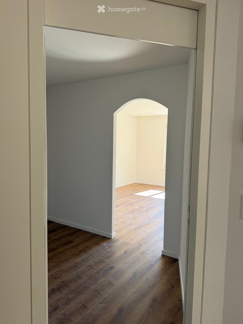 Empty hallway with wooden flooring, white walls, and an arched doorway leading to another room.
