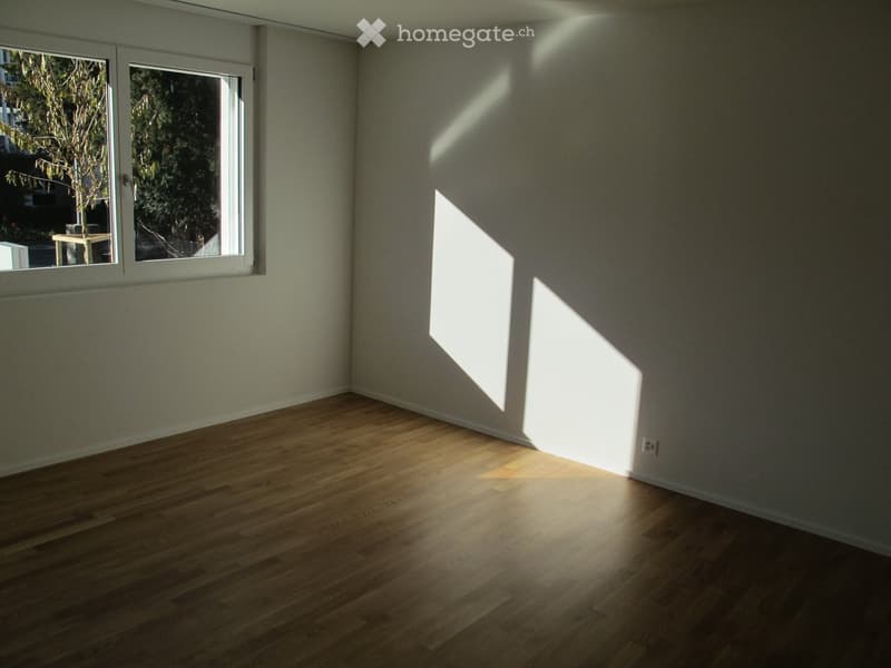 Ruhige Wohnung mit grosser Terrasse und Sicht auf den Pilatus (6)