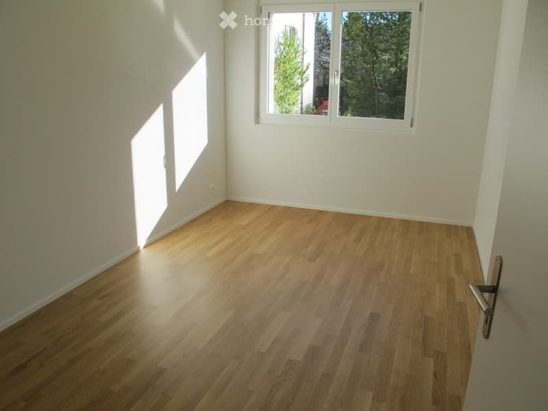 Ruhige Wohnung mit grosser Terrasse und Sicht auf den Pilatus (3)