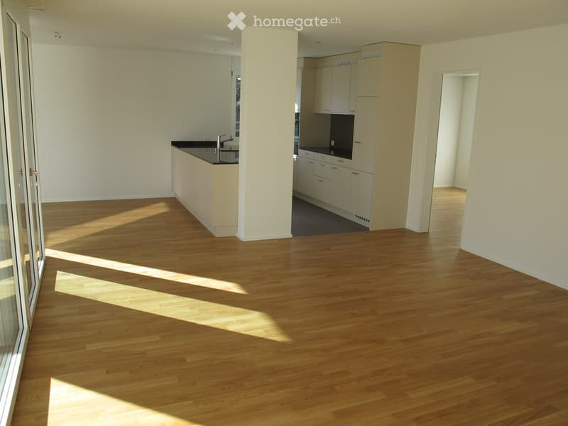 Ruhige Wohnung mit grosser Terrasse und Sicht auf den Pilatus (7)