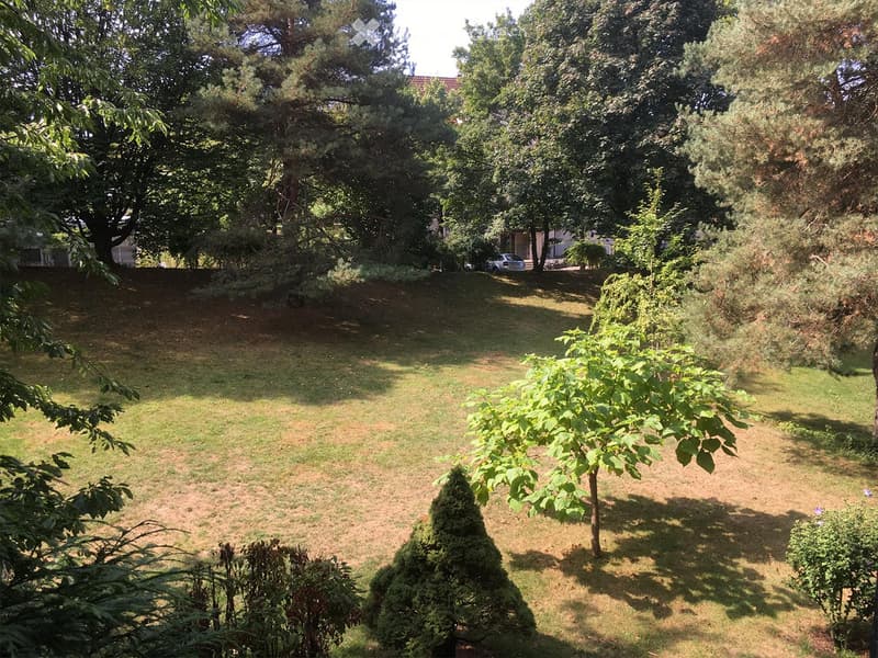 A well-maintained garden with a mix of grass, trees, and shrubs. The area is surrounded by tall trees, creating a peaceful and natural setting.