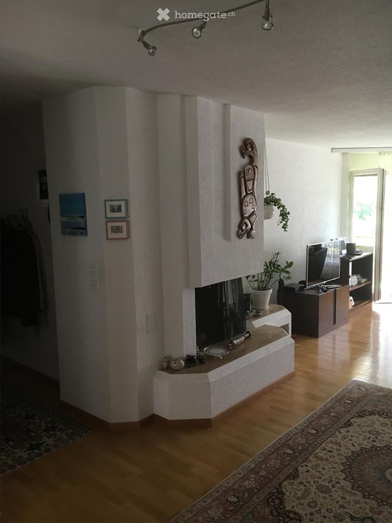 Modern living room with hardwood flooring, fireplace, large windows, sofa, coffee table, television, and decorative art pieces.