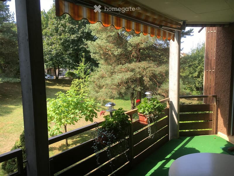 Balcony with green flooring, wooden railing, potted plants, and striped awning overlooking a landscaped garden with trees and lawn.
