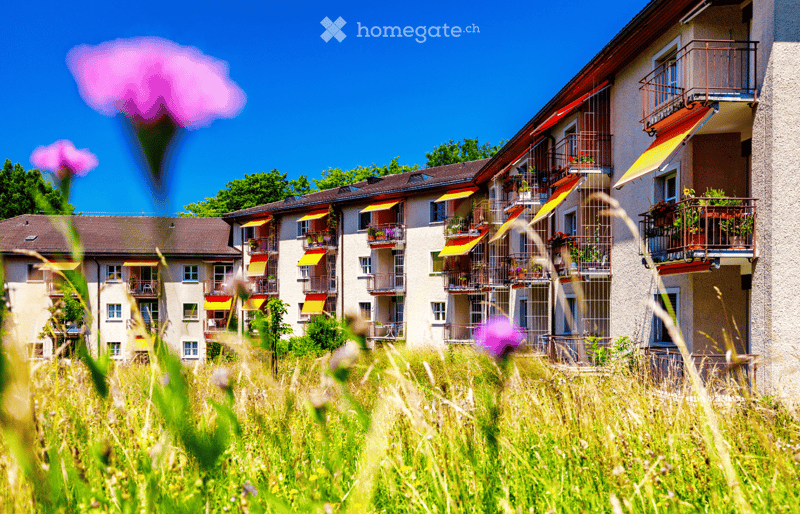 Multi-story residential building with balconies, awnings, and potted plants, surrounded by green grass and wildflowers.
