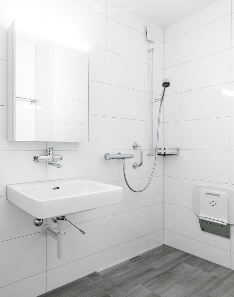 Modern bathroom with white tiles, a white sink with a chrome faucet, a large mirror, a showerhead with a hose, and a toilet paper holder.