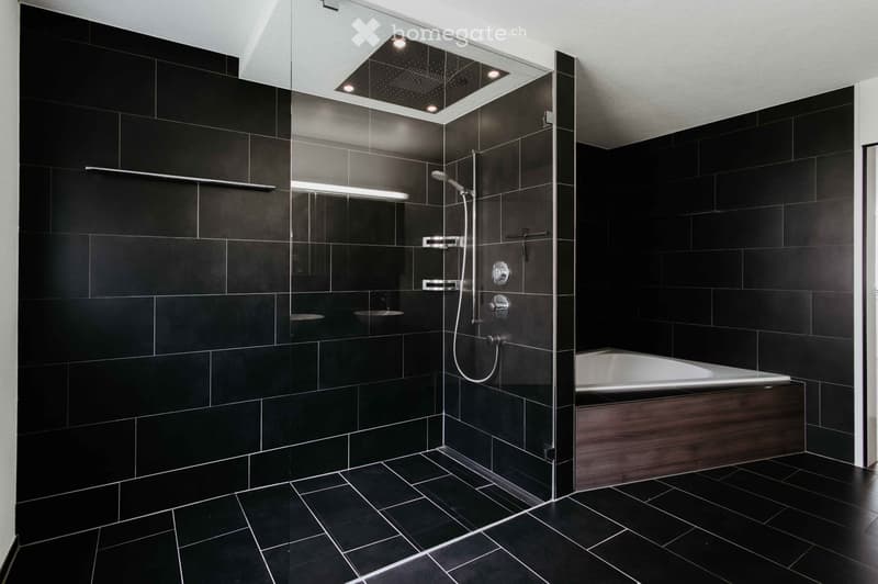 Modern bathroom with black tiles, a large bathtub, a glass-enclosed shower with multiple showerheads, and a sleek faucet.