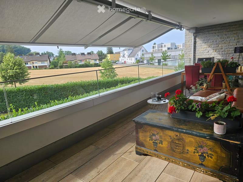Balcony with wooden decking, glass railing, sofa, coffee table, flower pots, and a view of the countryside.