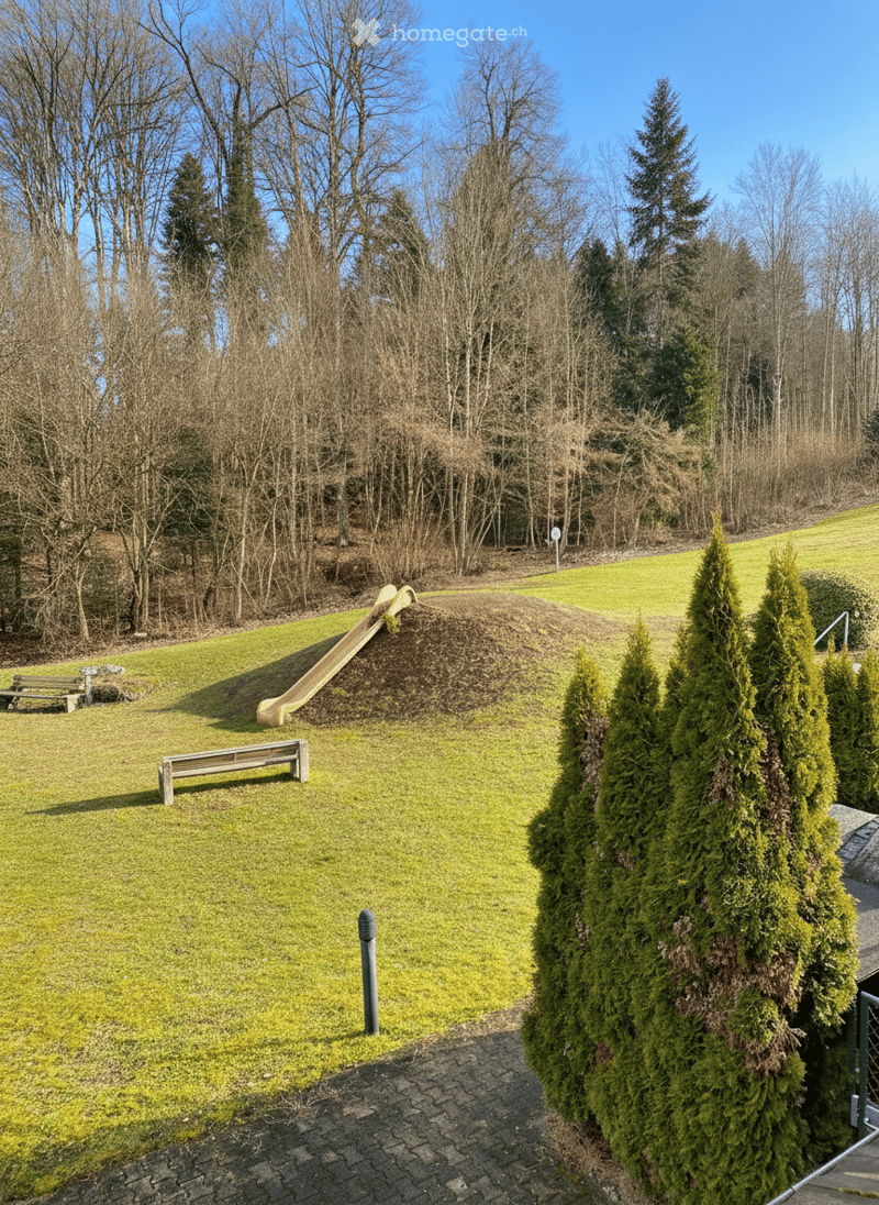 Well-maintained green lawn, pine trees, a slide, and benches.
