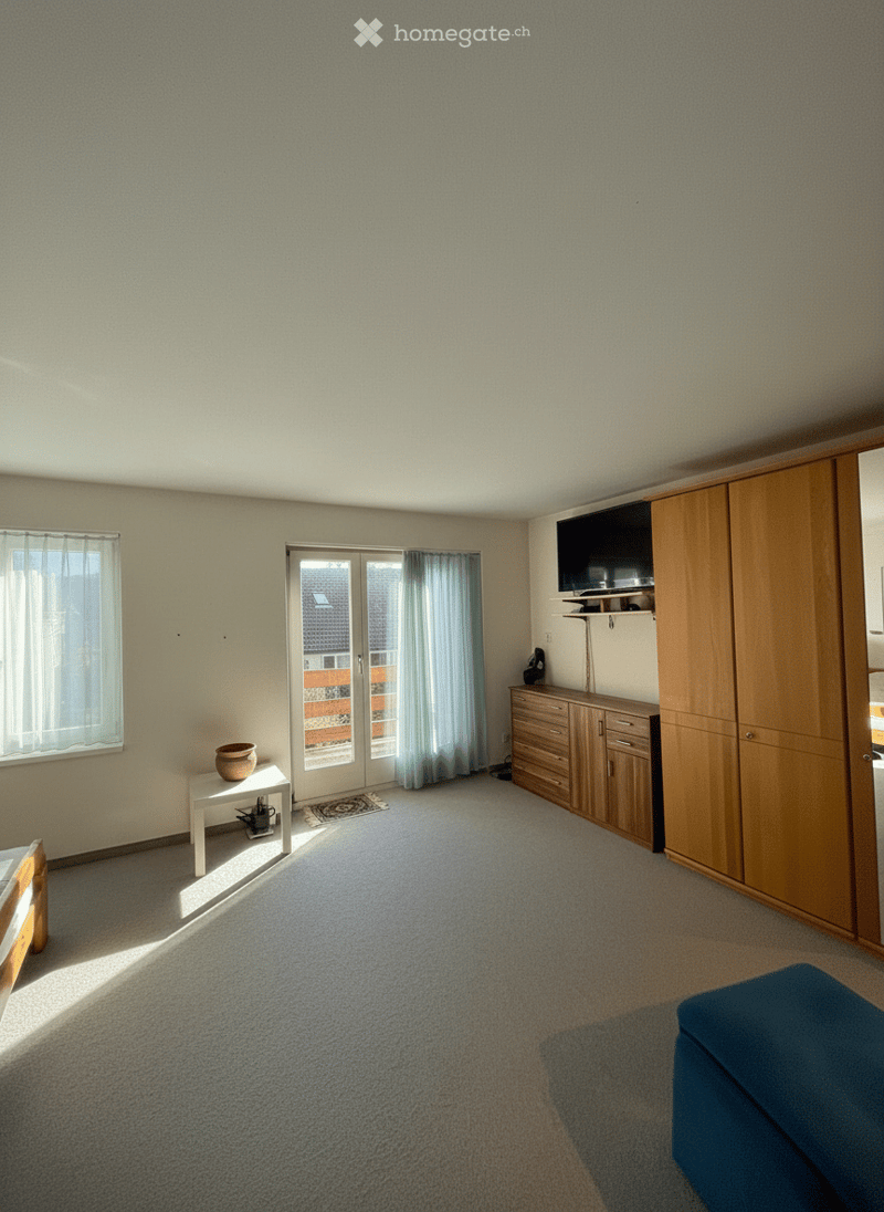 modern design, large windows, balcony, beige carpet, wooden wardrobes, flat-screen TV, white ottoman