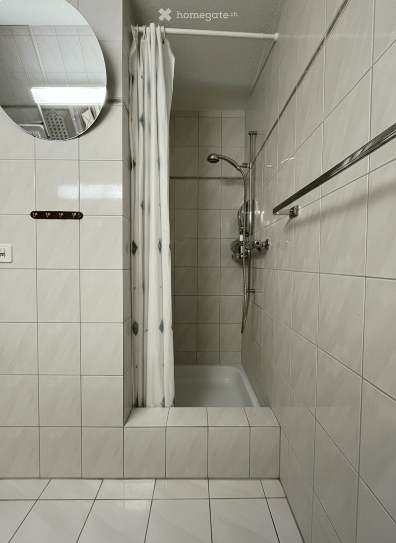 Modern bathroom with tiled walls and floor, white curtained shower, built-in hand shower, a large mirror, and a toilet. The mirror has a small reflection of a clothes dryer.