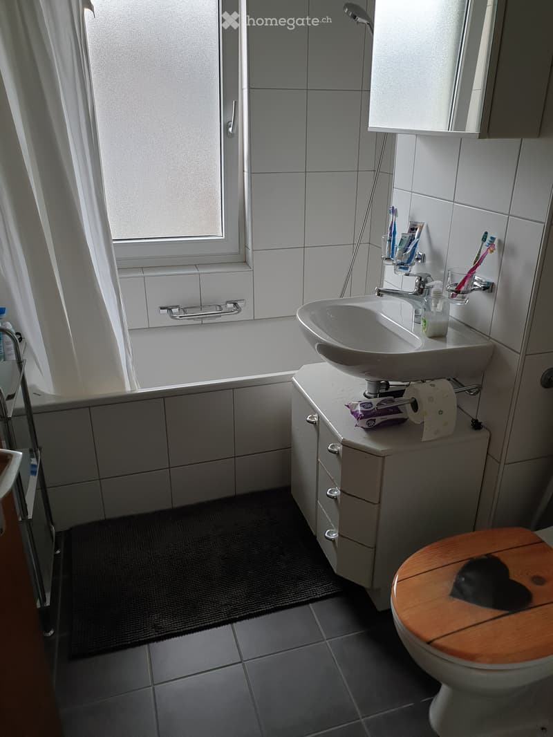 Modern bathroom with white tiles, a sink with a faucet, a toilet with a wooden seat, a bathtub, and a toothbrush holder with toothbrushes. The floor has a dark rug, and there is a handrail next to the bathtub.