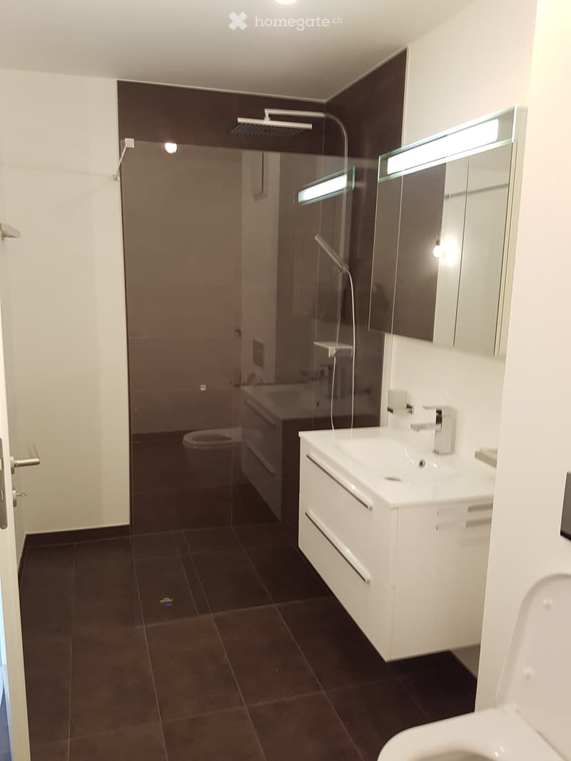 Modern bathroom with dark tiled floor, white sink with modern faucet, large mirror with built-in lighting, glass-enclosed shower, and toilet.