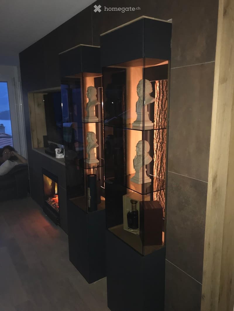Fireplace, wall sculptures, shelves, illuminated