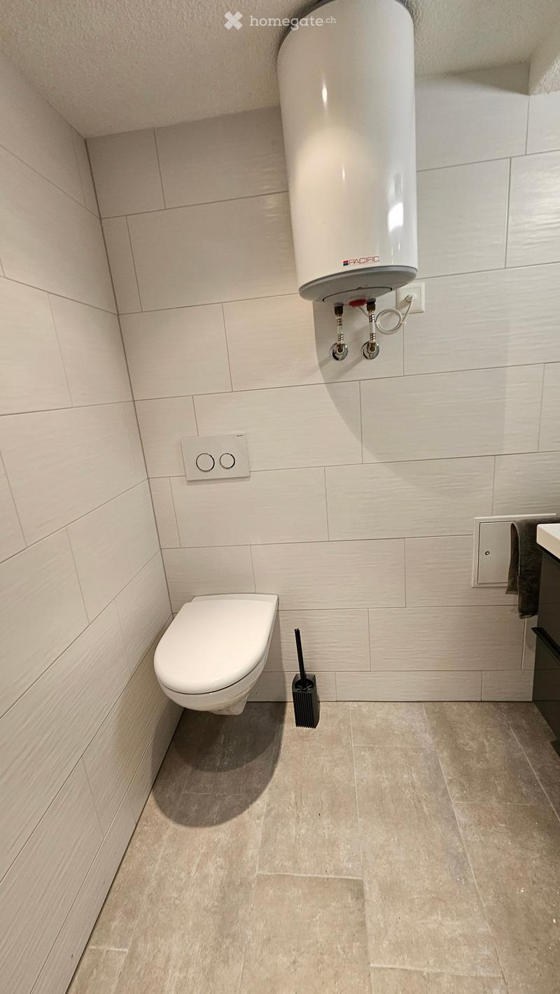 Bathroom, white tile, toilet, silver toilet brush, silver water heater on wall