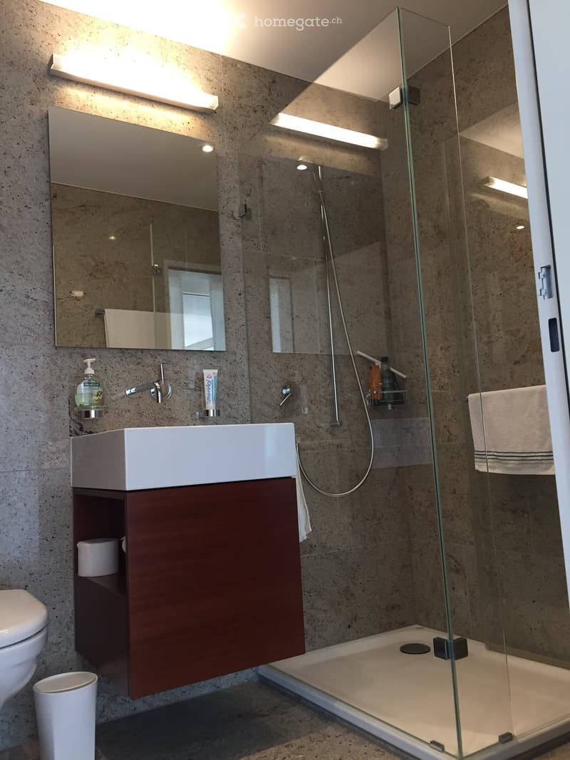 Modern bathroom with a white sink, dark brown cabinet, large mirror, glass-enclosed shower, and a toilet. Includes a soap dispenser, toothpaste, and a towel.