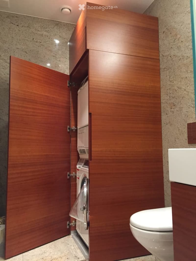 Modern bathroom with a toilet, sink, and a built-in wooden cabinet housing a washing machine and dryer.