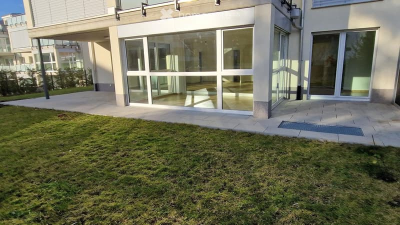 Modern building entrance with large glass doors, a well-maintained lawn, and a paved walkway.