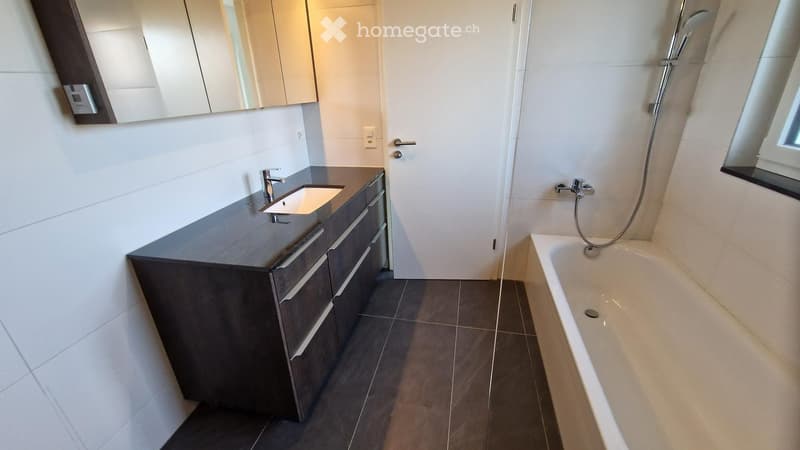 Modern bathroom with a dark wooden vanity, white sink, bathtub, and a large mirror above the vanity.
