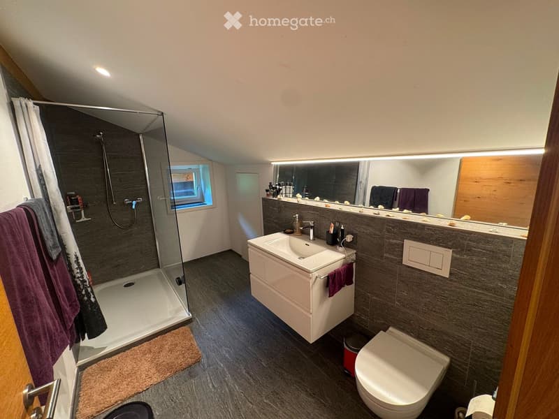 Modern bathroom with a glass-enclosed shower, a white sink with a mirror, a toilet, and various bathroom accessories. The space features dark grey tiles and a sleek design.