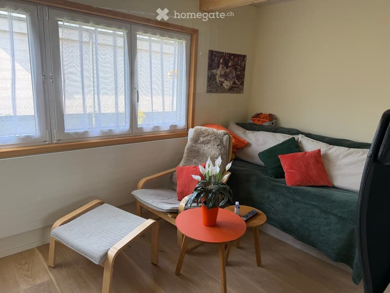 Cozy living room with a green sofa, wooden chair, small round table with a flower pot, and decorative pillows.