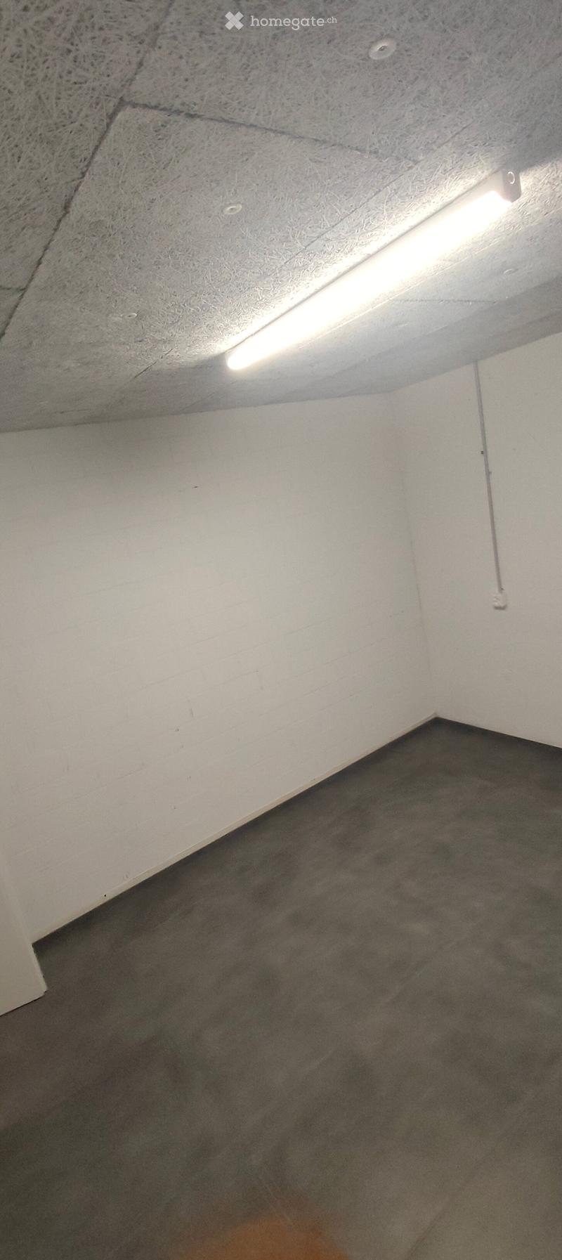 Empty room with white walls, carpeted floor, and a single fluorescent light fixture on the ceiling.
