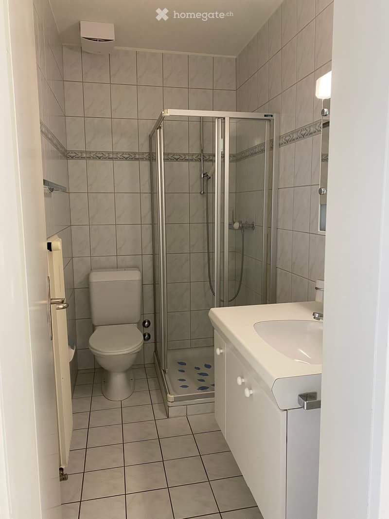 Modern bathroom with tiled walls and floor, featuring a toilet, a sink with a cabinet, and a glass-enclosed shower stall.