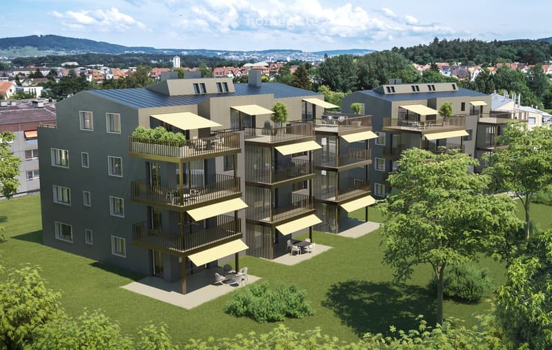 Moderne 2.5-Zimmer-Wohnung in Dietikon (1)
