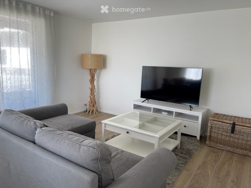 Moderne 2.5-Zimmer-Wohnung in Dietikon (2)