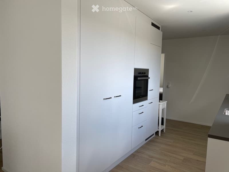 Moderne 2.5-Zimmer-Wohnung in Dietikon (7)