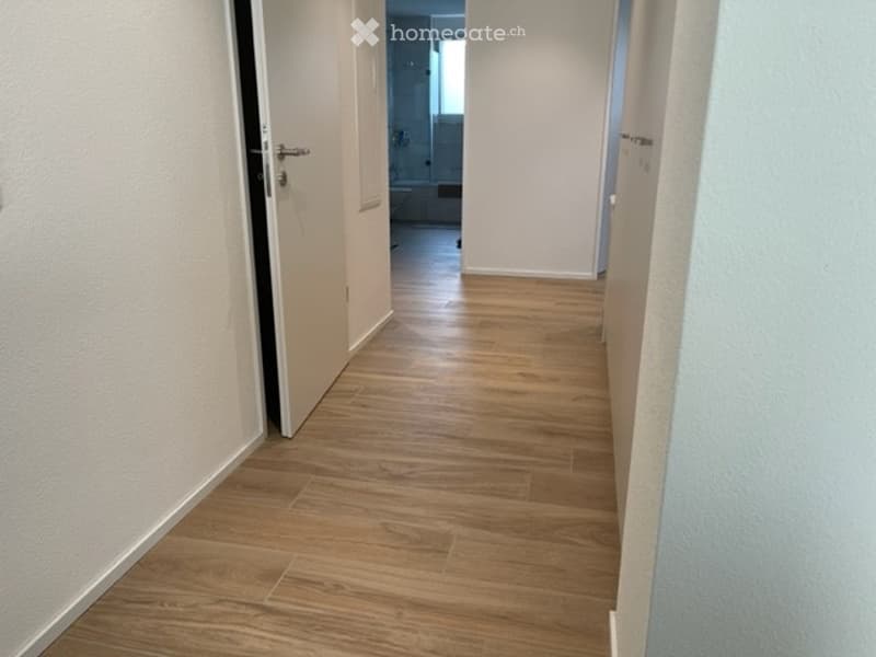 Moderne 2.5-Zimmer-Wohnung in Dietikon (8)
