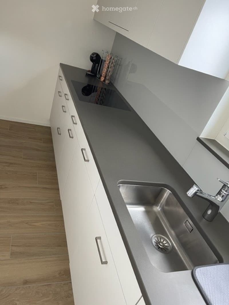 Moderne 2.5-Zimmer-Wohnung in Dietikon (5)