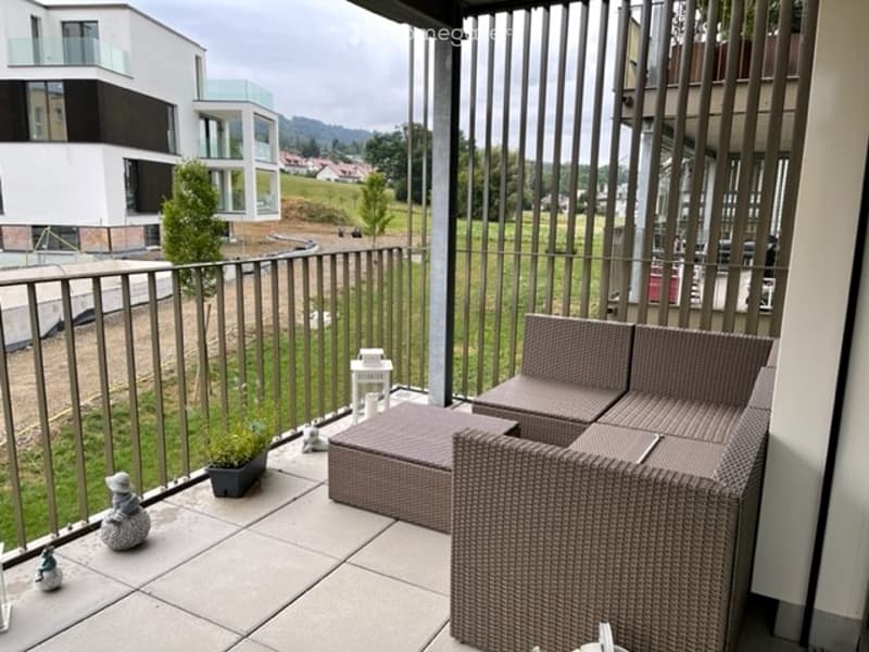 Moderne 2.5-Zimmer-Wohnung in Dietikon (9)