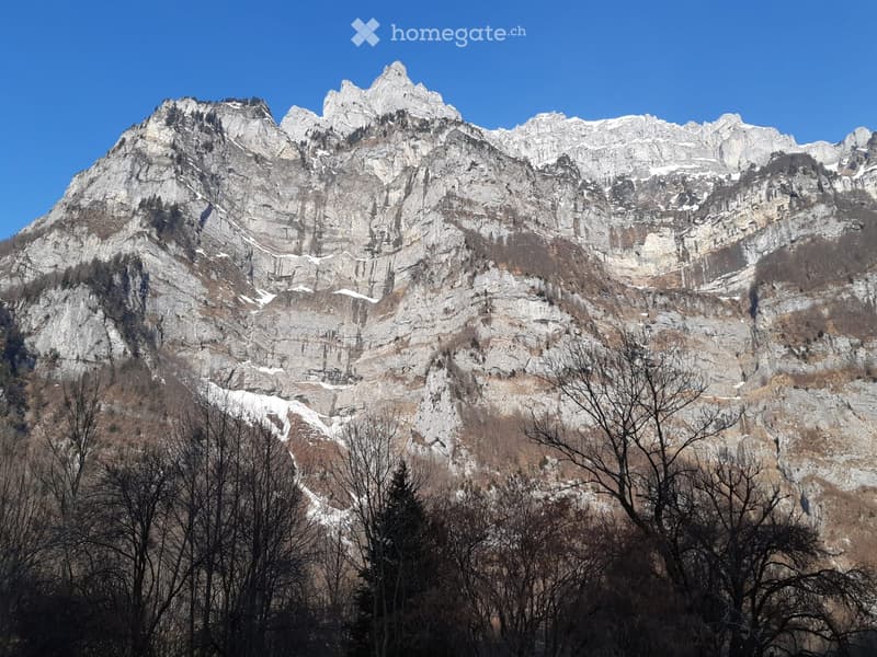A rugged mountain range with snow patches, rocky terrain, and sparse vegetation, viewed from a lower elevation with leafless trees in the foreground.
