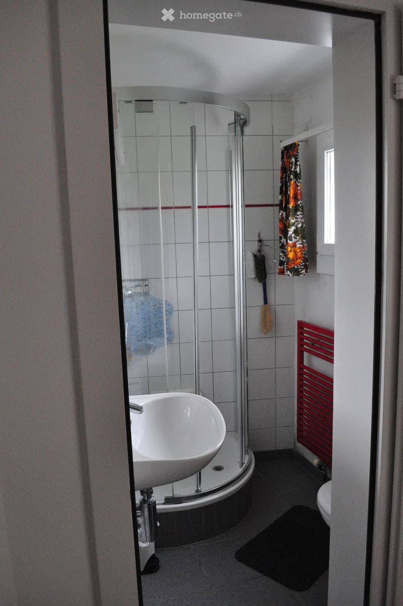 Modern bathroom with a white sink, toilet, glass-enclosed shower, red radiator, and a decorative curtain.