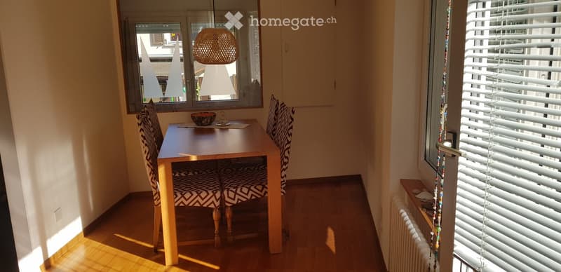Cozy dining area with wooden table, two patterned chairs, a decorative bowl, and a hanging lamp. Large windows with blinds and a radiator are visible.