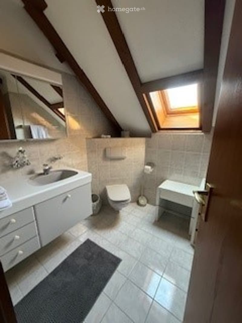 Bathroom with a slanted ceiling and skylight, featuring a sink with a mirror, a toilet, a small cabinet, and a stool.