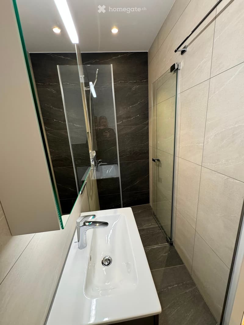 Modern bathroom with a white sink, sleek faucet, and glass shower enclosure. Dark marble tiles on walls and floor.