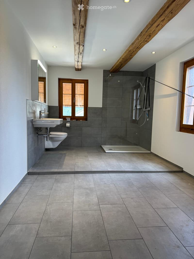 Modern bathroom with grey tiles, a large walk-in shower, a sink, and a toilet. Features exposed wooden beams on the ceiling and large windows.