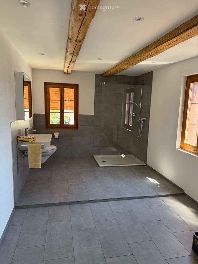 Modern bathroom with grey tiles, a large shower area, a sink with a mirror, and a toilet. Wooden-framed windows allow natural light to enter.