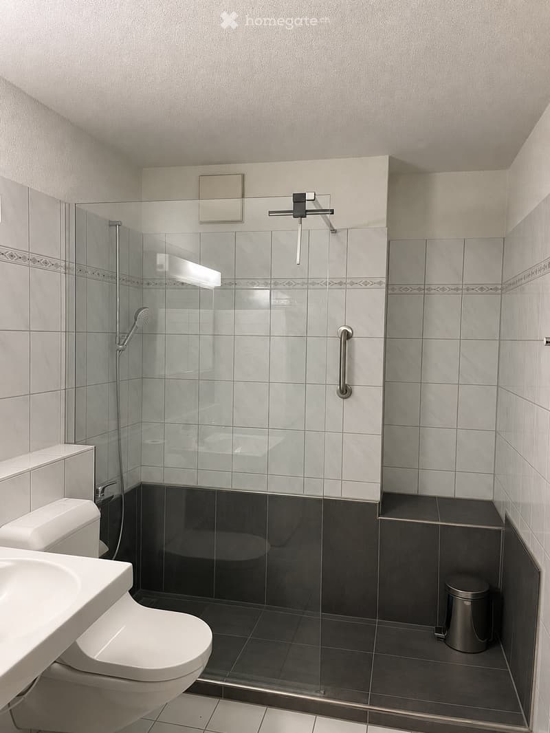 Modern bathroom with white toilet, sink, glass-enclosed shower, and dark tiled floor.