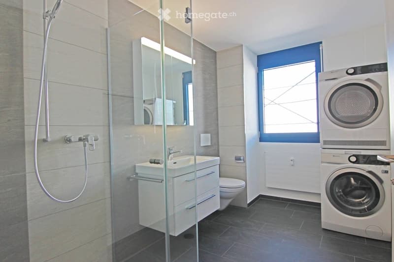 Modern bathroom with a glass-enclosed shower, a white sink with a mirror, a toilet, and a stacked washing machine and dryer.