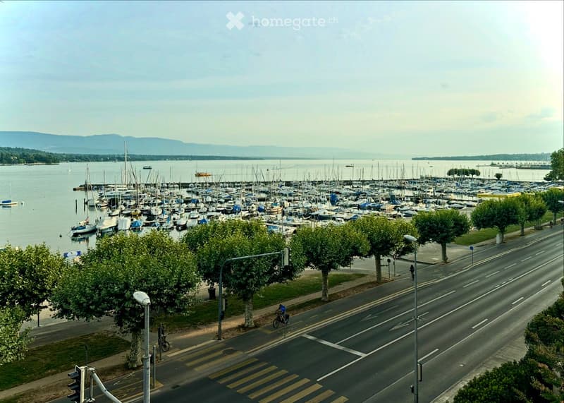 A waterfront view showing a marina filled with numerous boats and yachts, with a road running alongside, trees lining the sidewalk, and distant mountains visible across the water.