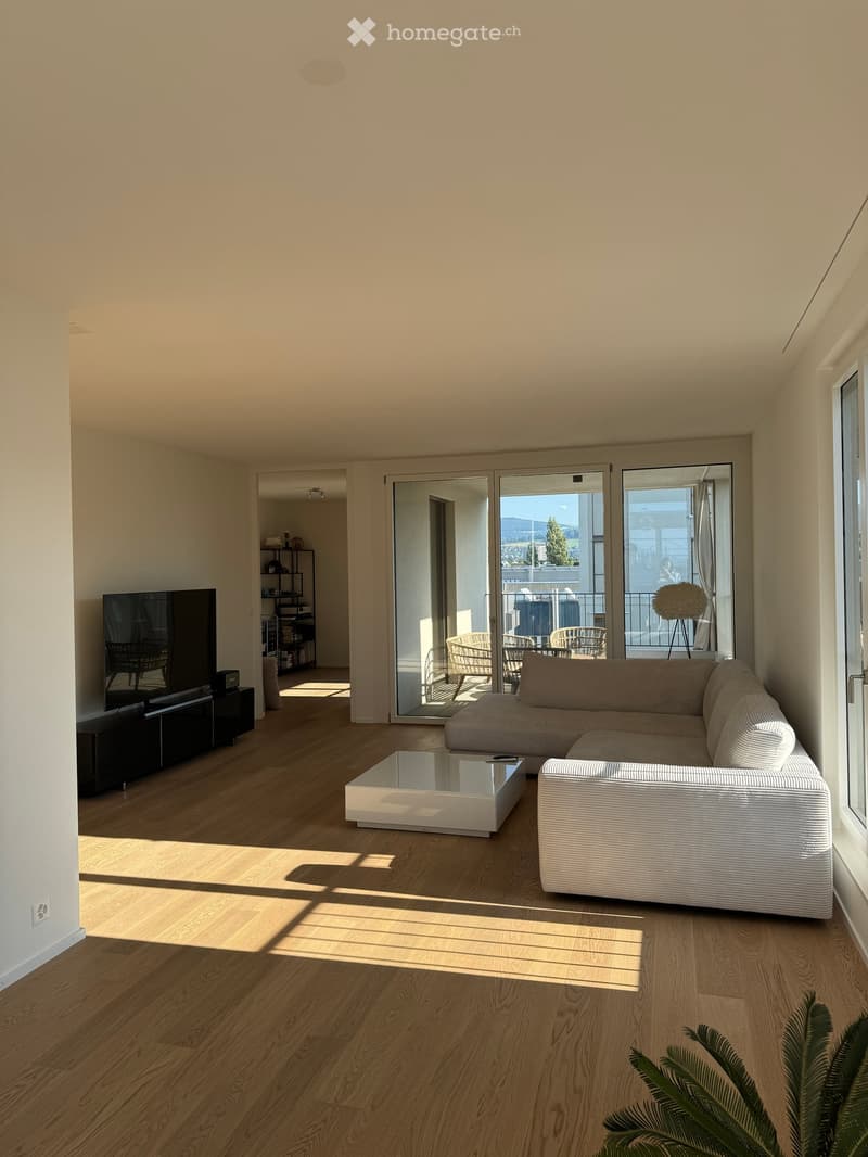 Modern living room with light wooden flooring, large sliding glass doors leading to a balcony, a sectional sofa, a coffee table, and a television on a stand.