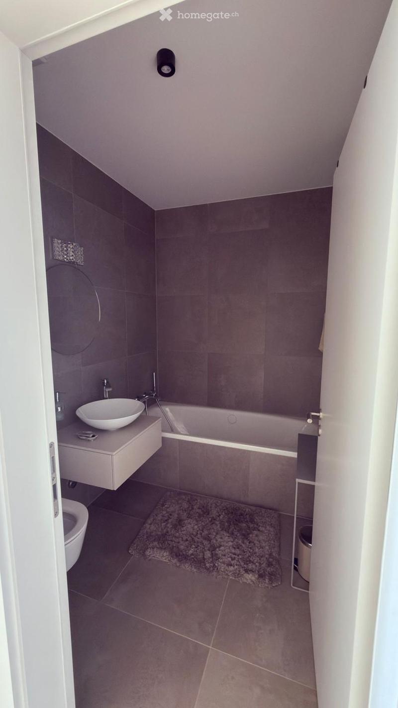 Modern bathroom with a bathtub, sink, toilet, and a small rug on the floor. The walls are tiled in a dark gray color, and the ceiling has a sleek light fixture.