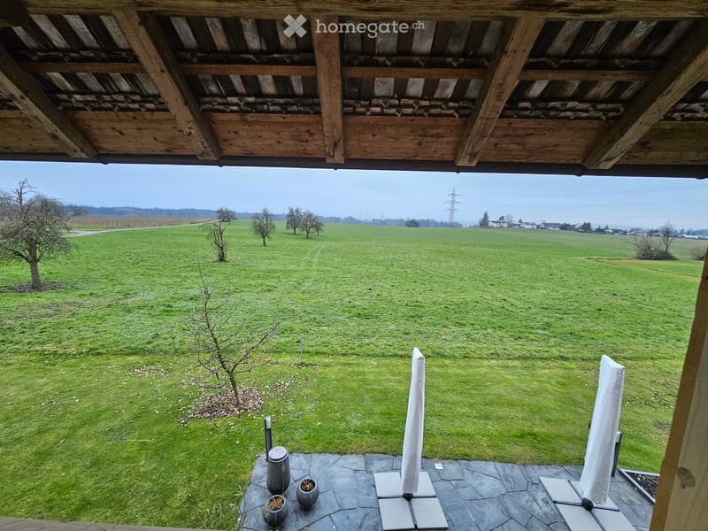 wooden ceiling, large view of the field, open umbrella covers, outdoor umbrellas, stone flooring, small plants in gray pots