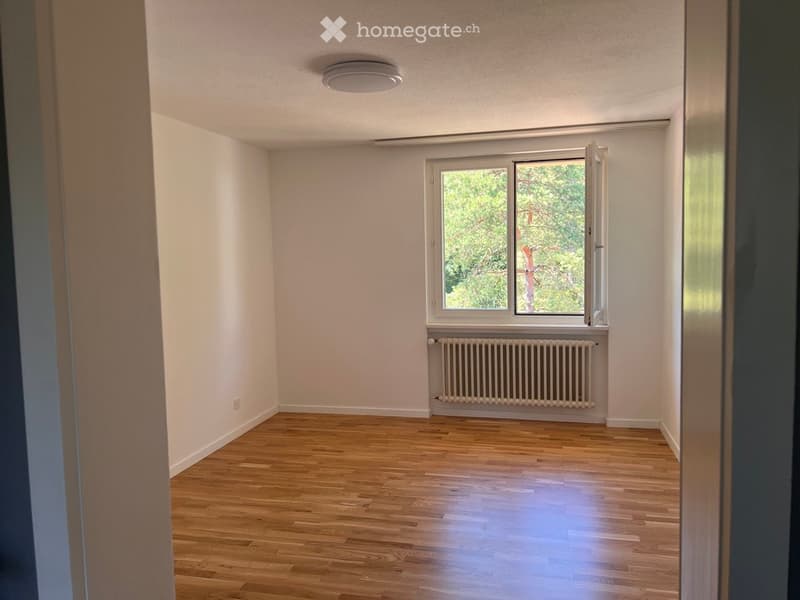 Empty room with wooden flooring, white walls, a window with white frame, and a radiator below the window.