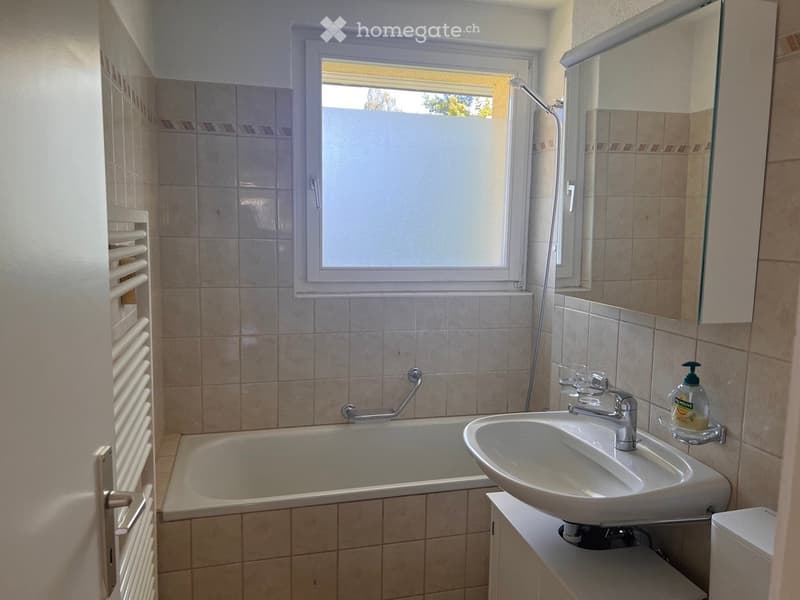 Bathroom with a bathtub, sink, mirror, and toilet. Features tiled walls, a window, and a shower hose attached to the wall.
