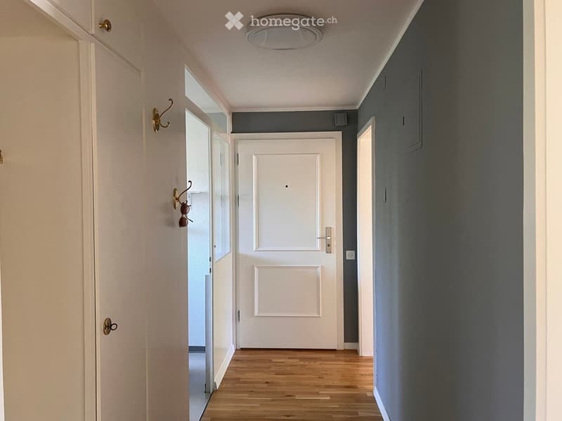 A narrow hallway with wooden flooring, white walls, and a central white door. The walls are painted in a two-tone design with light beige on the left and dark grey on the right. A ceiling light fixture is visible, and there are hooks on the left wall.