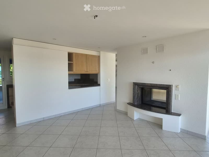 Open-plan space with a built-in kitchen area featuring light wood cabinets and a countertop, and a fireplace with a built-in bench.