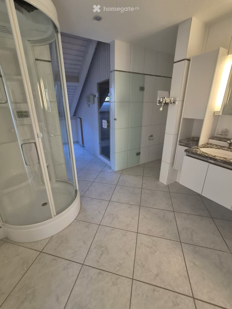 Exklusive Attika-Maisonettewohnung mit traumhaftem Seeblick (5)